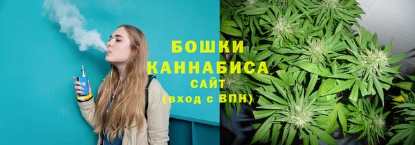 ECSTASY Богданович